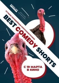 Best Comedy Shorts