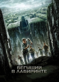 Бегущий в лабиринте (2014)