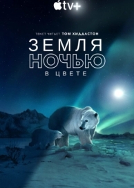 Земля ночью в цвете (2 сезон)