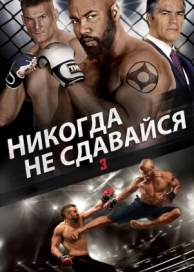 Никогда не сдавайся 3 (2016)