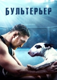 Бультерьер (2022)