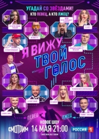 Я вижу твой голос (1 сезон)