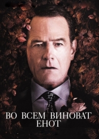 Во всем виноват енот (2016)