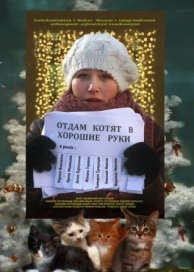 Отдам котят в хорошие руки (2012)