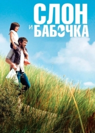 Слон и бабочка (2017)