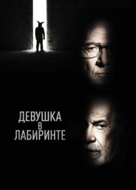 Девушка в лабиринте (2019)