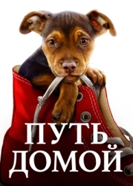 Путь домой (2019)