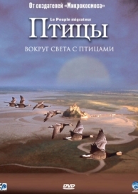 Птицы (2001)