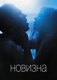 Новизна (2017)