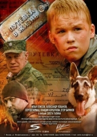 Путевка в жизнь (2013)