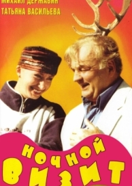 Ночной визит (1998)